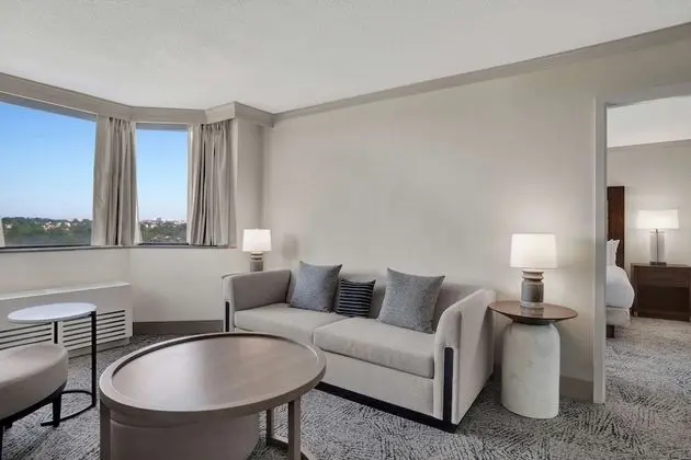 Süit