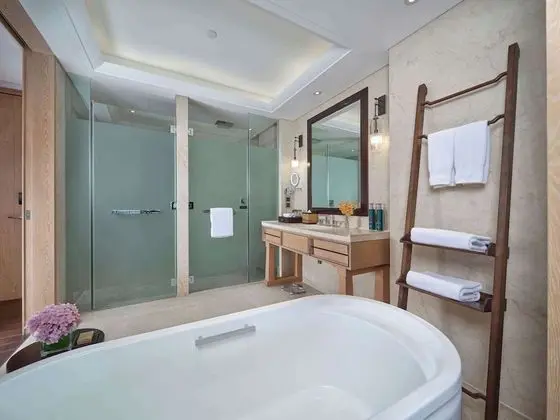 Executive Oda, Business Dinlenme Salonu Kullanımı, Göl Manzaralı