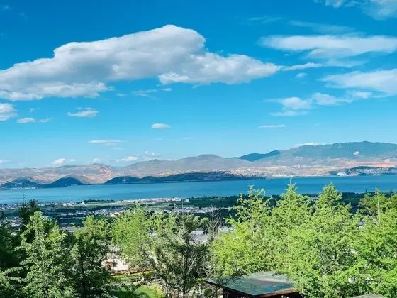Oda, 1 En Büyük (King) Boy Yatak, Engellilere Uygun