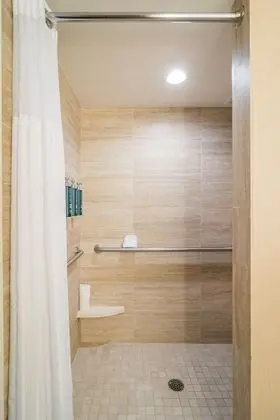 Oda, 1 En Büyük (King) Boy Yatak, Engellilere Uygun, Sigara İçilmez (Roll-in Shower)