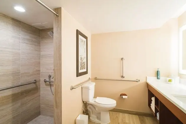 Oda, 1 En Büyük (King) Boy Yatak, Engellilere Uygun, Sigara İçilmez (Roll-in Shower)
