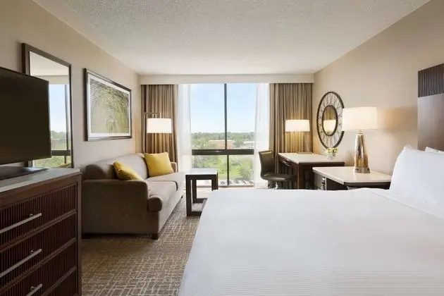 Executive Oda, 1 Büyük (Queen) Boy Yatak