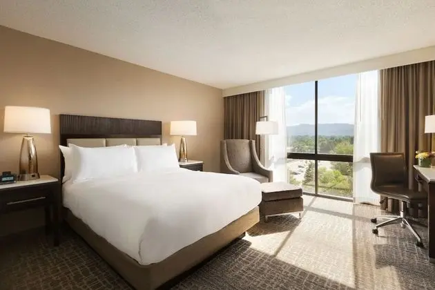 Oda, 1 En Büyük (King) Boy Yatak, Engellilere Uygun