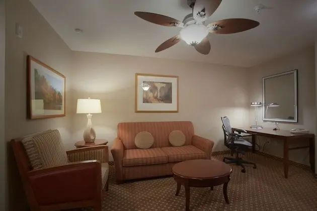 Junior Süit, 1 En Büyük (King) Boy Yatak