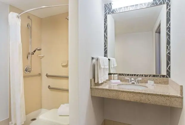 Oda, 1 En Büyük (King) Boy Yatak, Engellilere Uygun (Roll-In Shower)