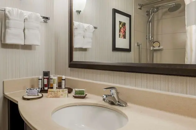 Oda, 1 En Büyük (King) Boy Yatak, Engellilere Uygun, Sigara İçilmez (Luxury Bathroom)