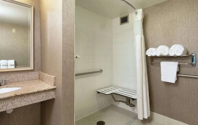 Oda, Engellilere Uygun, Sigara İçilmez (Hearing Impaired/Roll-in Shower)