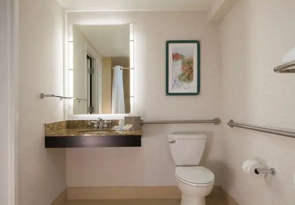 Süit, 1 Yatak Odası, Engellilere Uygun (Mobility, Roll-in Shower)