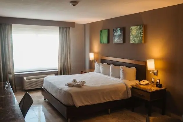 Oda, 1 En Büyük (King) Boy Yatak, Şehir Manzaralı