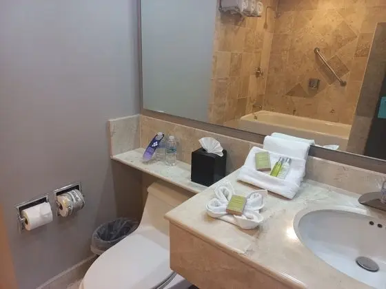 Oda, 2 Büyük (Queen) Boy Yatak, Şehir Manzaralı