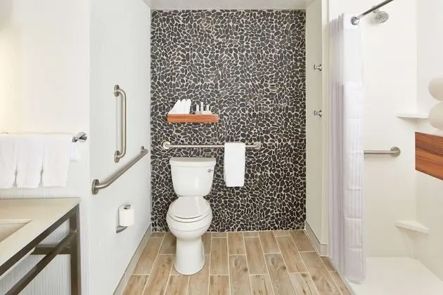 Oda, 1 En Büyük (King) Boy Yatak, Engellilere Uygun, Sigara İçilmez (Roll-in Shower)