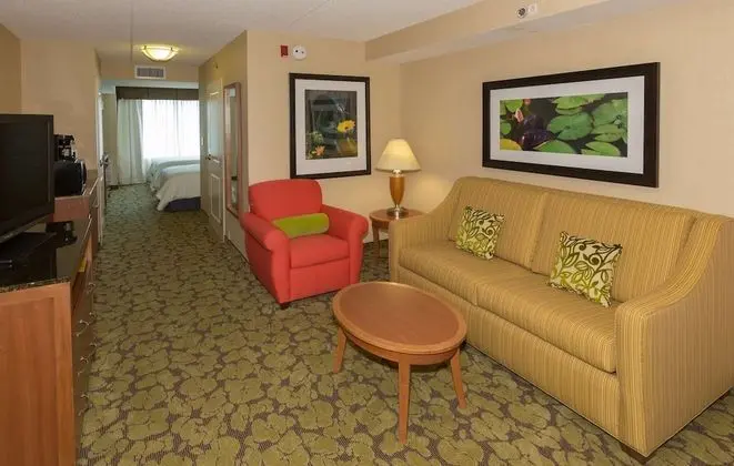 Junior Süit, Birden Çok Yatak (2 Double Beds & 1 Sofa Bed)