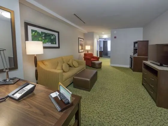 King Room, Luxury Süit, 1 En Büyük (King) Boy Yatak, Sigara İçilmez
