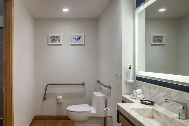 Oda, 1 En Büyük (King) Boy Yatak, Engellilere Uygun (Mobility & Hearing, Roll-In Shower)