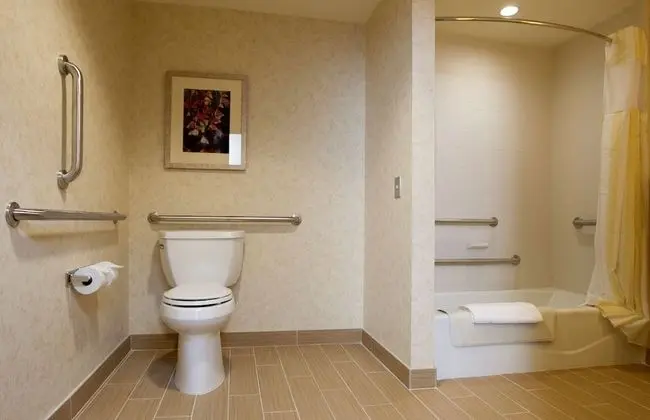 Oda, 1 En Büyük (King) Boy Yatak, Engellilere Uygun (Mobility/Hearing, Bathtub)