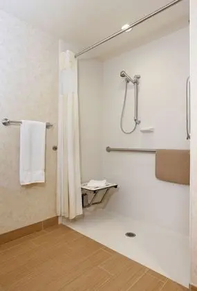 Oda, 1 En Büyük (King) Boy Yatak, Engellilere Uygun (Mobility/Hearing, Roll-in Shower)