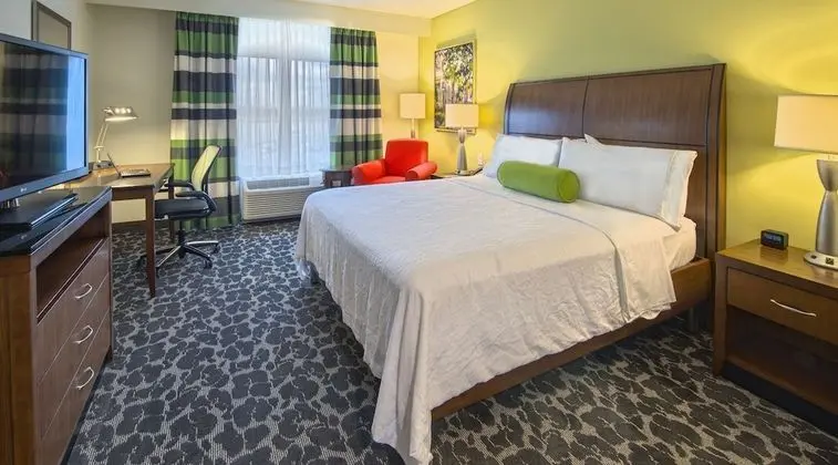 Suite, 1 King Bed, Accessible (Mobility & Hearing), View