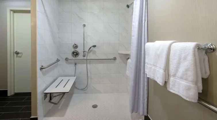 Suite, 1 King Bed, Accessible (Mobility & Hearing), View