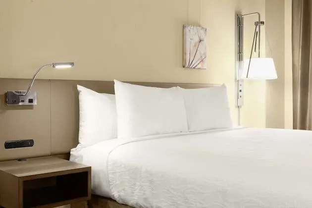 ADA Accessible, Room, 1 King Bed, Accessible, Bathtub (Mobility & Hearing)