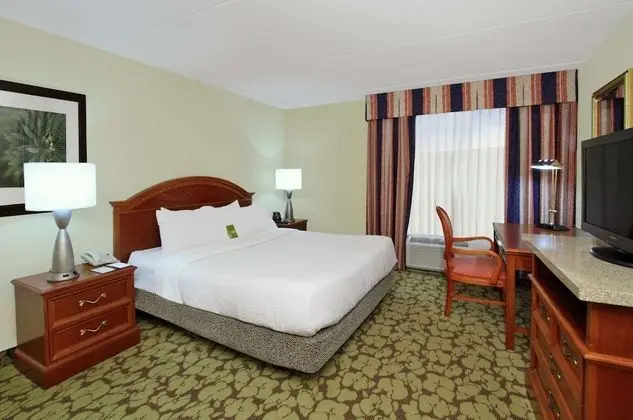 Handicap Accessible 1 Bedroom King Suite w/ Roll-in Shower