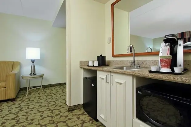 Handicap Accessible 1 Bedroom King Suite w/ Roll-in Shower