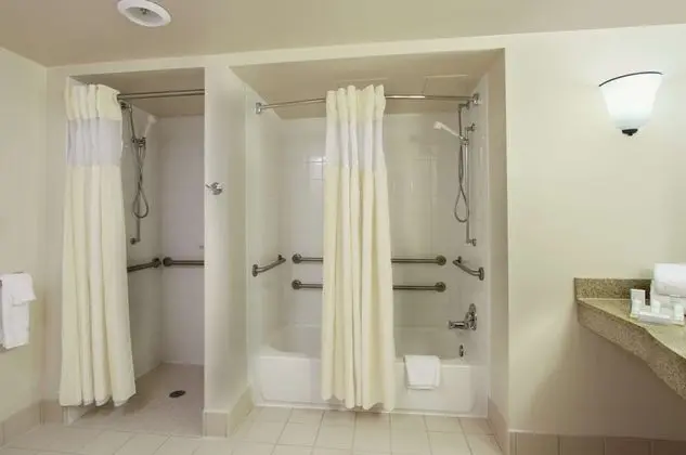 Handicap Accessible 1 Bedroom King Suite w/ Roll-in Shower