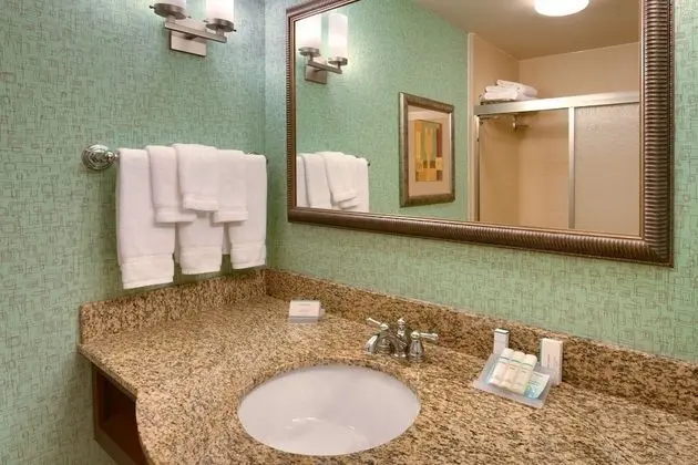 Standard Oda, 1 En Büyük (King) Boy Yatak (HEARING ACCESSIBLE WHIRLPOOL ROOM)