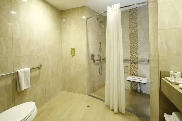 1 King Bed Accessible (Roll In Shower)