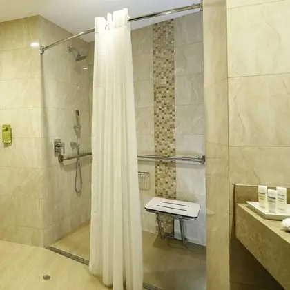 1 King Bed Accessible (Roll In Shower)
