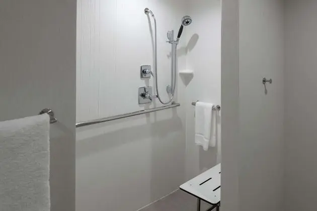 Süit, 1 Yatak Odası, Engellilere Uygun (Roll-in Shower)