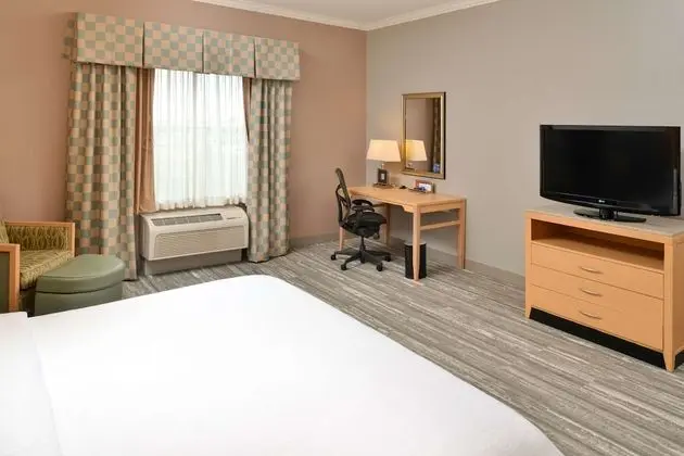 Standard Room, 1 King Bed, Accessible (Mobility & Hearing, Roll-in Shower)