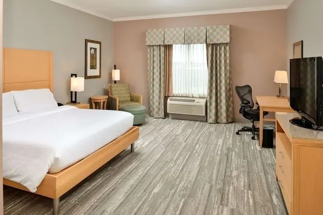 Standard Room, 1 King Bed, Accessible (Mobility & Hearing, Roll-in Shower)