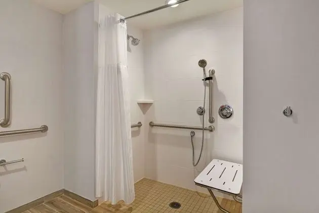 Stüdyo, 1 En Büyük (King) Boy Yatak, Engellilere Uygun (Roll-In Shower)