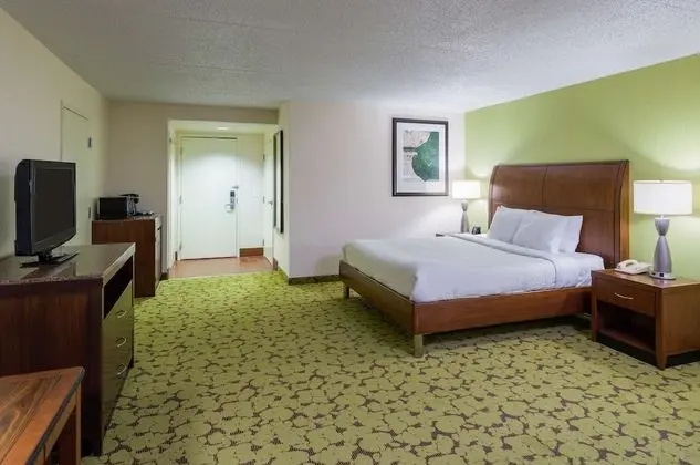 One King Bed, Non Smoking, Roll In Shower