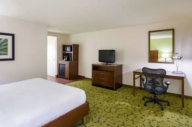 One King Bed, Non Smoking, Roll In Shower