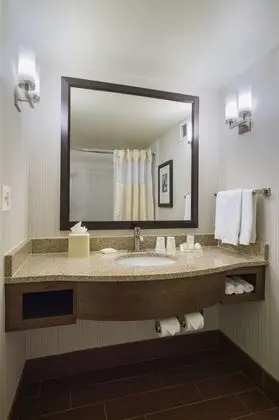 One King Bed, Non Smoking, Roll In Shower