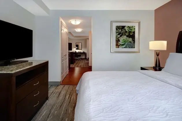 Süit, 1 Yatak Odası (1 King Bed)