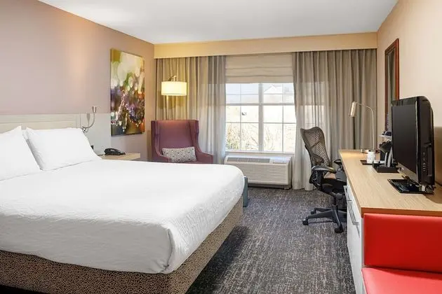 Room, 1 King Bed, Accessible