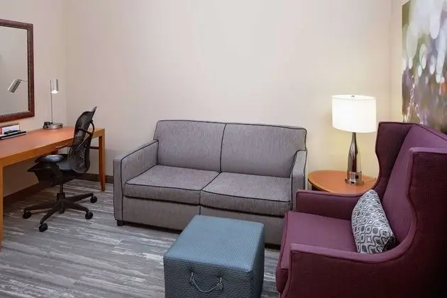 Room, 1 King Bed, Accessible
