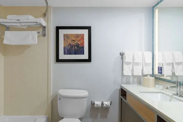 Room, 1 King Bed, Accessible, Bathtub