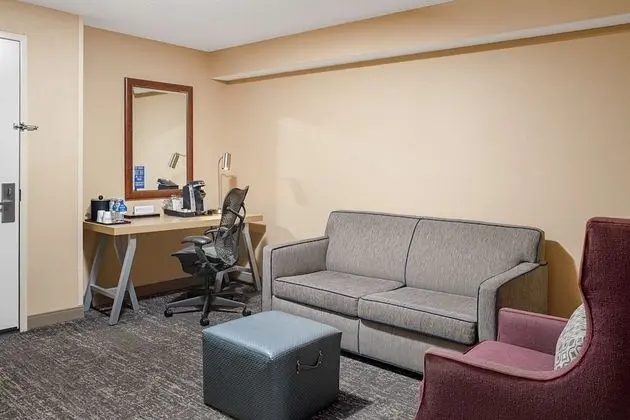 Suite, 1 King Bed with Sofa Bed, Bathtub (Mobility & Hearing)