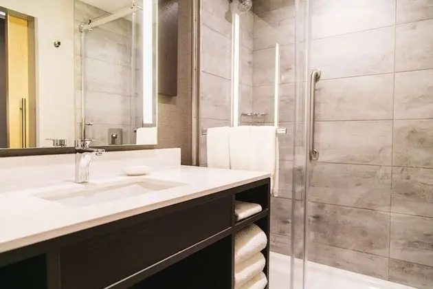 Oda, 1 En Büyük (King) Boy Yatak, Nehir Manzaralı (Shower Only)