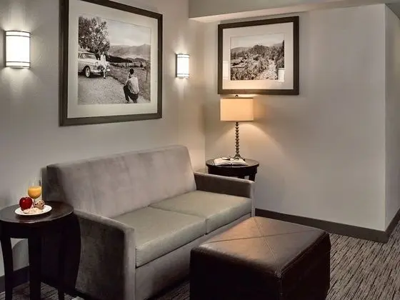 Double Queens, Accessible Suite, Pullout, Roll-In Shower