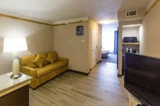 JUNIOR SUITE