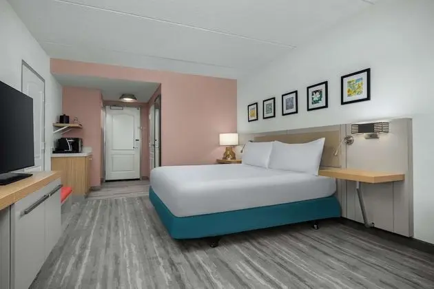 1 King Bed