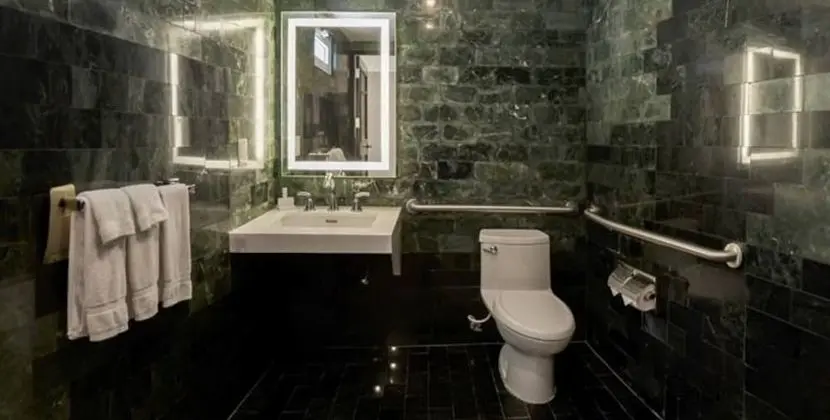 Oda, 1 Büyük (Queen) Boy Yatak, Engellilere Uygun (Roll-in Shower)