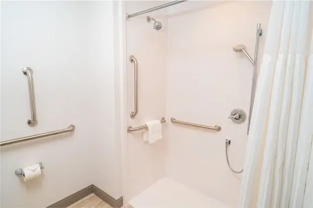 Oda, 1 Yatak Odası, Engellilere Uygun (Mobility & Hearing, Roll-in Shower)
