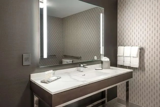 Oda, 1 En Büyük (King) Boy Yatak, Engellilere Uygun (Mobility & Hearing, Roll-in Shower)