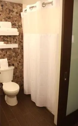 Oda, 1 En Büyük (King) Boy Yatak, Engellilere Uygun (Roll In Shower)