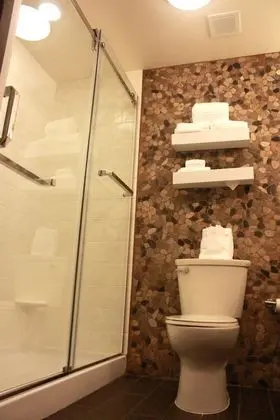 Oda, 1 En Büyük (King) Boy Yatak, Engellilere Uygun (Roll In Shower)